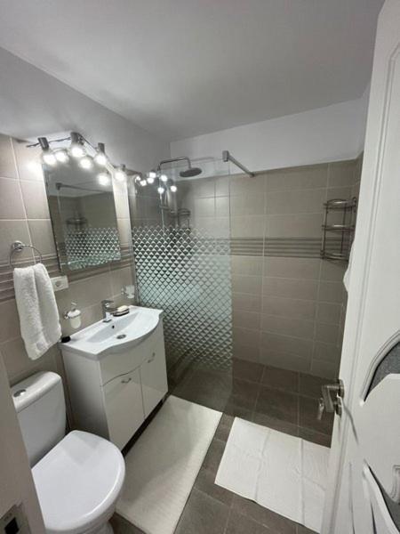 New Apartment Situat Pe Stefan Cel Mare, La 5 Min De Obor Boekarest Buitenkant foto